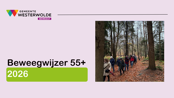 Nieuwsitems format website beweegwijzer